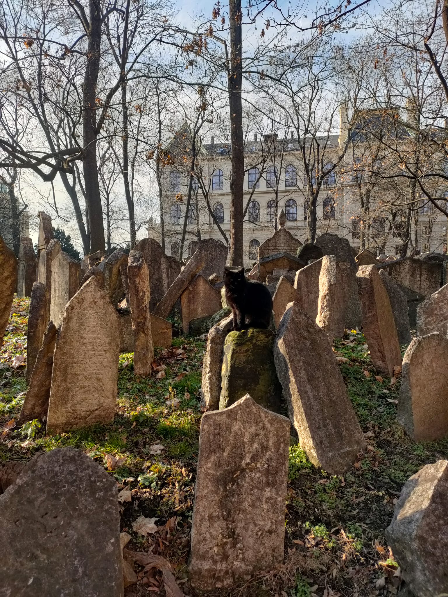 Caracteristicas Necroturismo