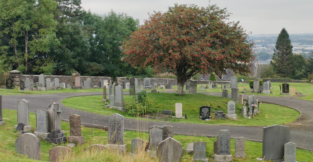 ¿Es para mí un tour por el cementerio? Resuelve tus dudas